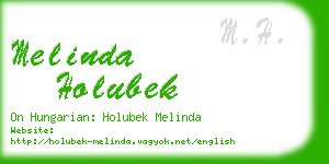 melinda holubek business card